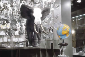 Rosenthal Shop Window